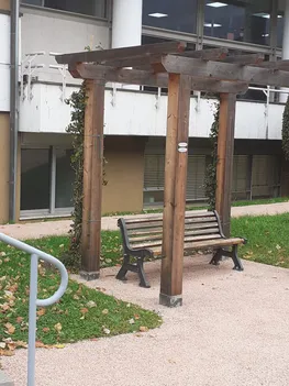 04 Rampicanti percorso riabilitazione