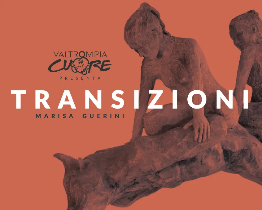 TRANSIZIONI di Marisa Guerini